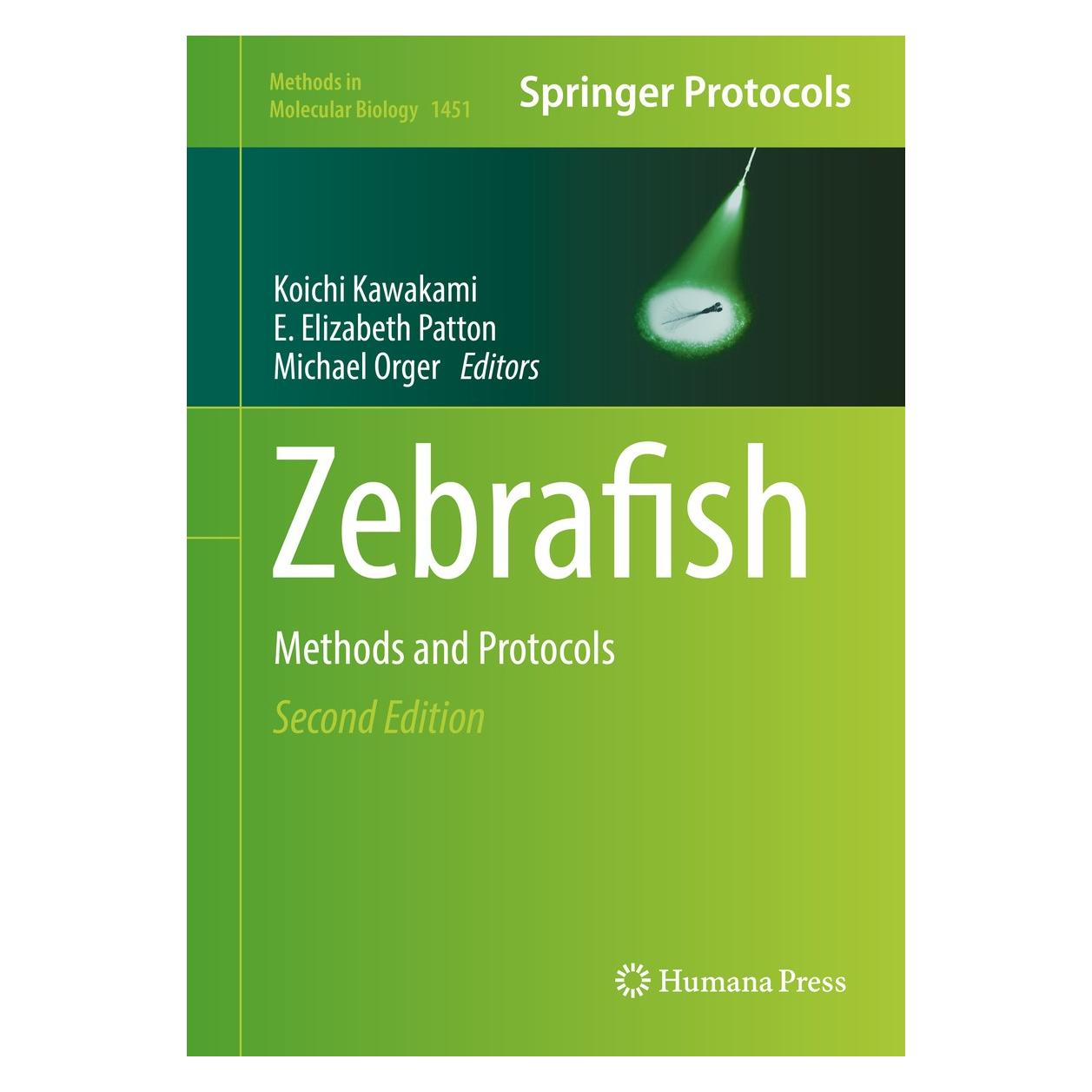 Springer Zebrafish (Englisch, Hardcover, E. Elizabeth Patton, Koichi Kawakami, Michael Orger) (9781493937691)