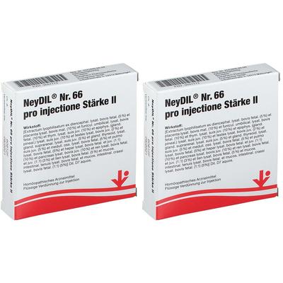 Neydil Nr.66 pro injectione St.2 Ampullen Doppelpack 2x5x2 ml