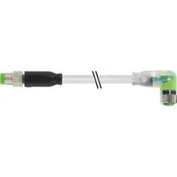 Murrelektronik Verbindungsleitung 3p. 7000-88041-2300100