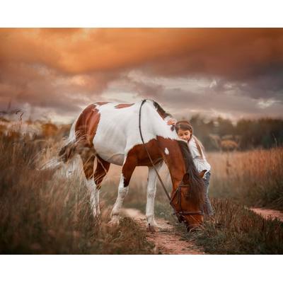 Fototapete PAPERMOON "PINTO PONY-PFERD MÄDCHEN SCHECKE TIER MINI INDIAN", bunt, B:3m L:2,23m, Vlies, Tapeten