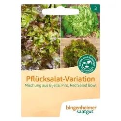 Bingenheimer Saatgut Pflücksalat-Variation bio