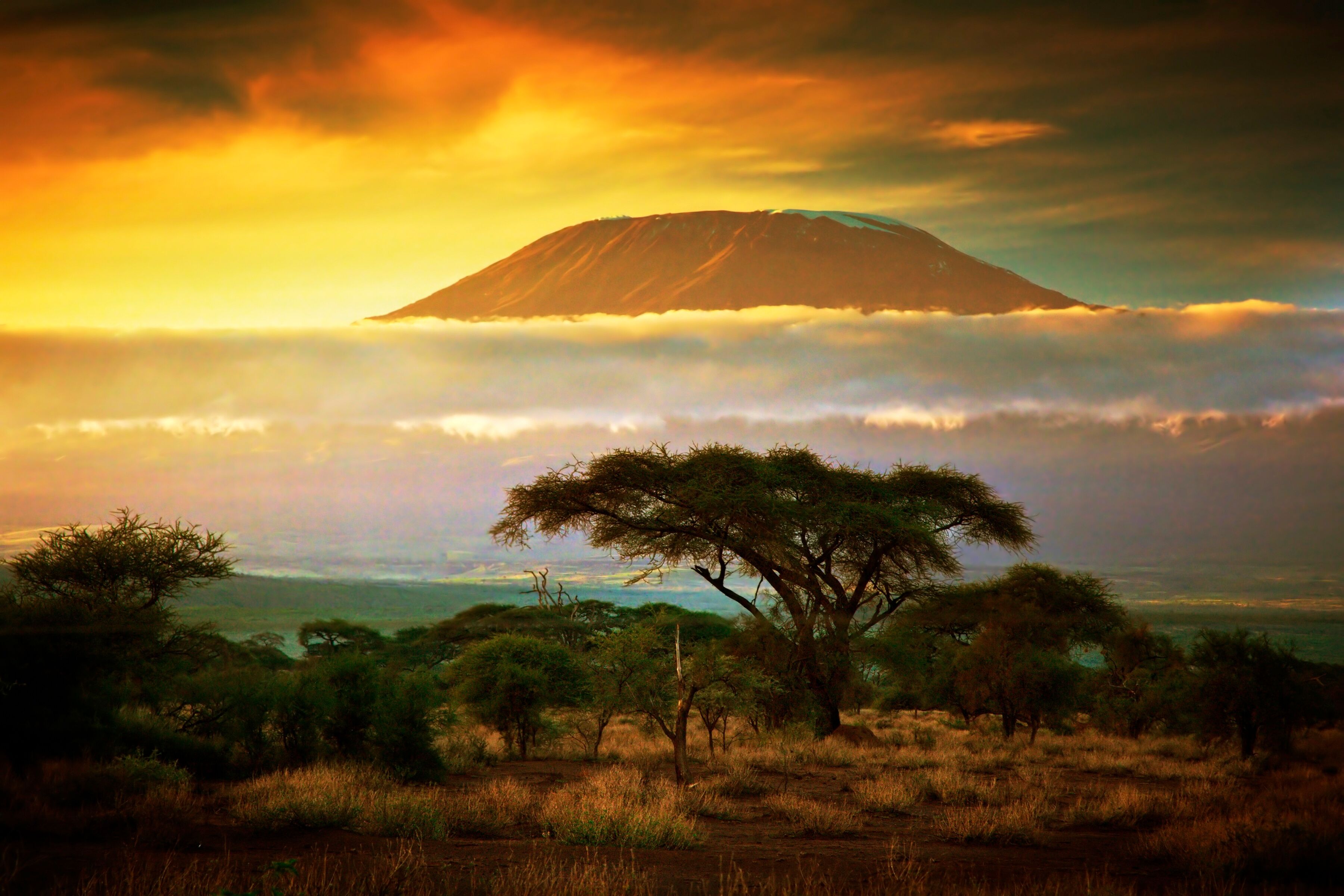 Fototapete PAPERMOON "Mount Kilimanjaro and Clouds", bunt, B:1,5m L:1,11m, Vlies, Tapeten, Fototapete bunt B/L: 1,5m x 1,11m, Bahnen: 7 Stk.