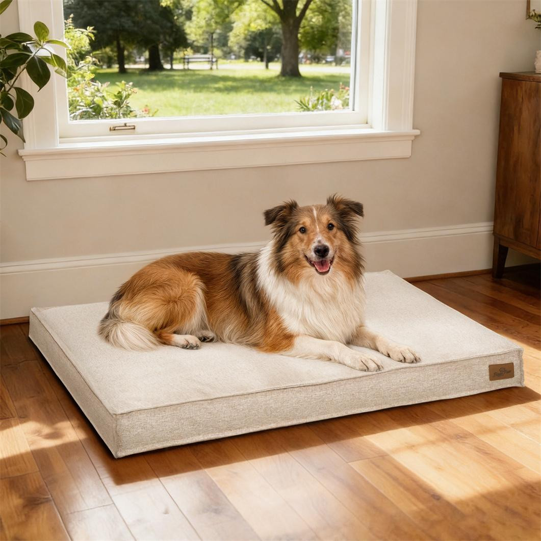 Bingopaw Hondenbed met wasbare hoes en antislip, Khaki, XL: 103 x 69 x 10 cm