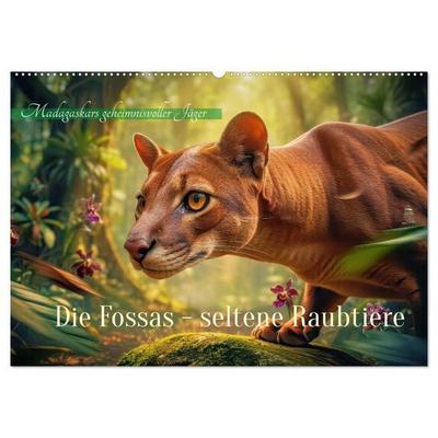 Die Fossas - seltene Raubtiere (Wandkalender 2027 DIN A2 quer), CALVENDO Monatskalender