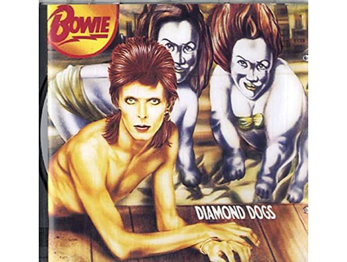 Diamond Dogs