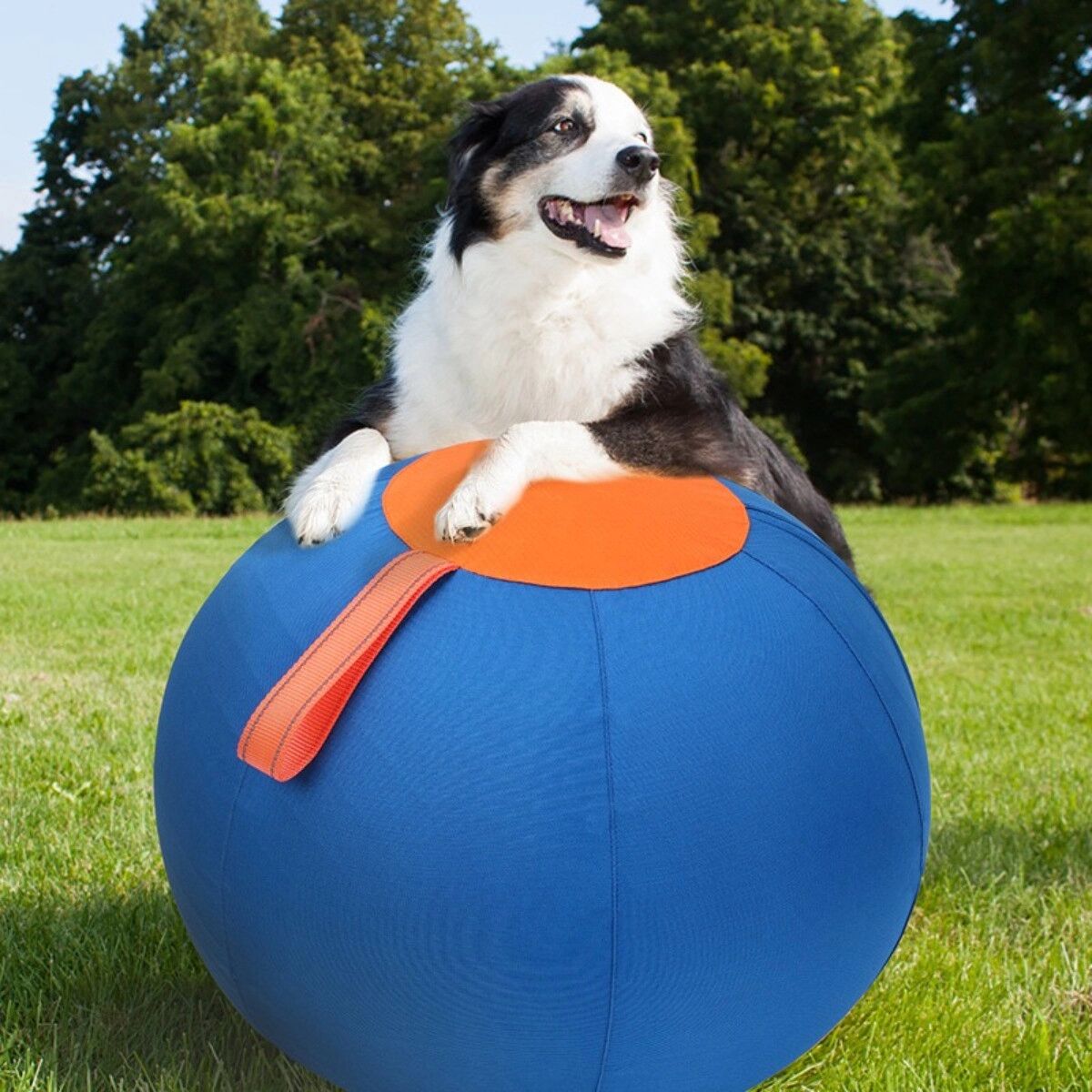 INF S Größe Aufblasbarer Hunde Trainingsball - Blau & Orange, Interaktives Kauspielzeug