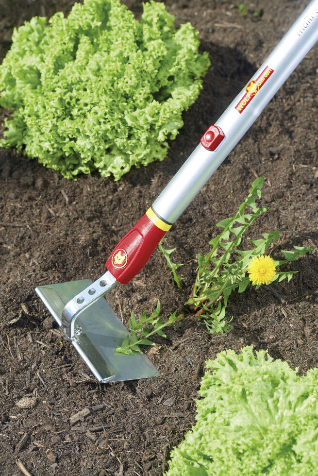 Wolf-Garten Wolf Garten Hacke HW-M 15 Multi-Star, 15 cm Arbeitsbreite