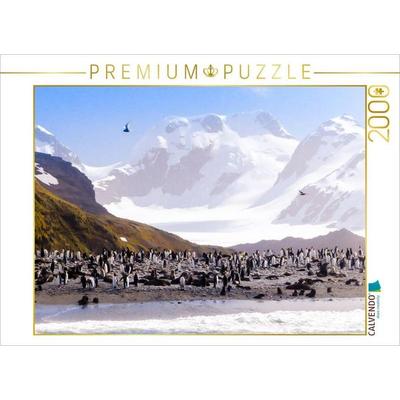 CALVENDO Puzzle Pinguin Kolonie im Naturparadies Antarktis | 2000 Teile Lege-Größe 90x67cm Foto-Puzzle für glückliche Stunden