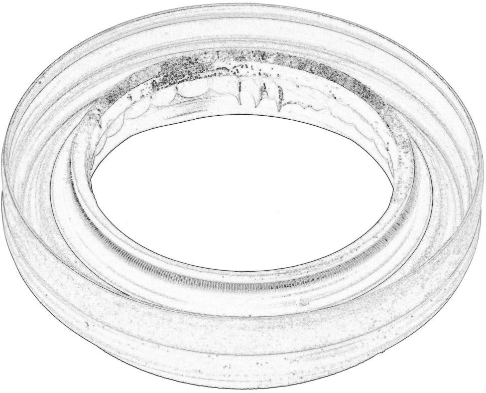 Korea Paraolio, scatola di trasmissione N50005D