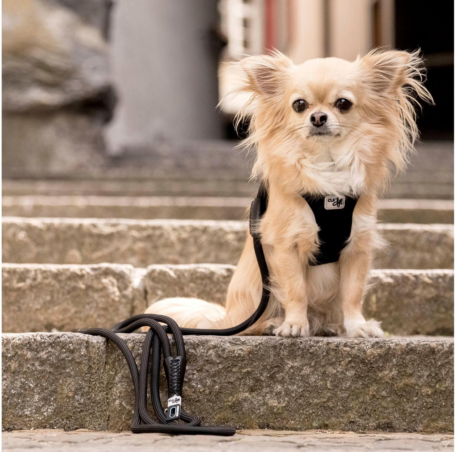 Hundeleine CURLI "Comfort Leash pink L", pink, B:1cm L:1,8m Ø:1cm, Nylon, Leinen, Hundeleine pink L/B: 1,8m x 1cm