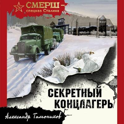 Sekretnyy kontslager - Alexander Tamonikov, Audio, 9785041954413