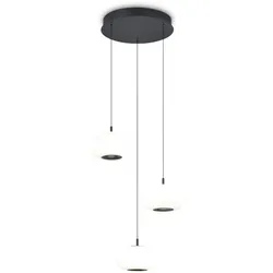 Helestra LED-Pendelleuchte Sapo Aluminium Schwarz