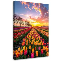 LEINWANDBILD Tulpen Blumen Wiese Ansicht 70x100cm