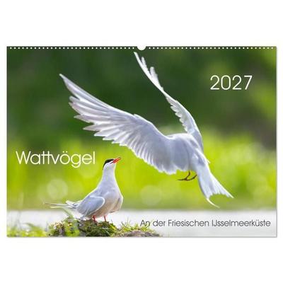 Wattvögel an der Friesischen IJsselmeerküste (Wandkalender 2027 DIN A2 quer), CALVENDO Monatskalender