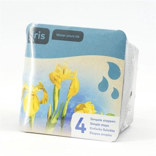 Moerings Gele Iris Vijverplant Droogverpakking