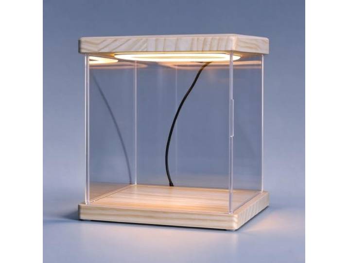Acryl Vitrine Kleine Acryl-Vitrine, Quadratische, Klare Würfelbox LED-Licht Vitrine mit Holzsockel, Transparente Box aus Alternativglas für Kleinteile, Kleiner Behälter für Sammlerstücke