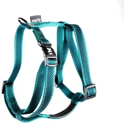 Martin Sellier M (Hund, Spazieren), Halsband + Leine