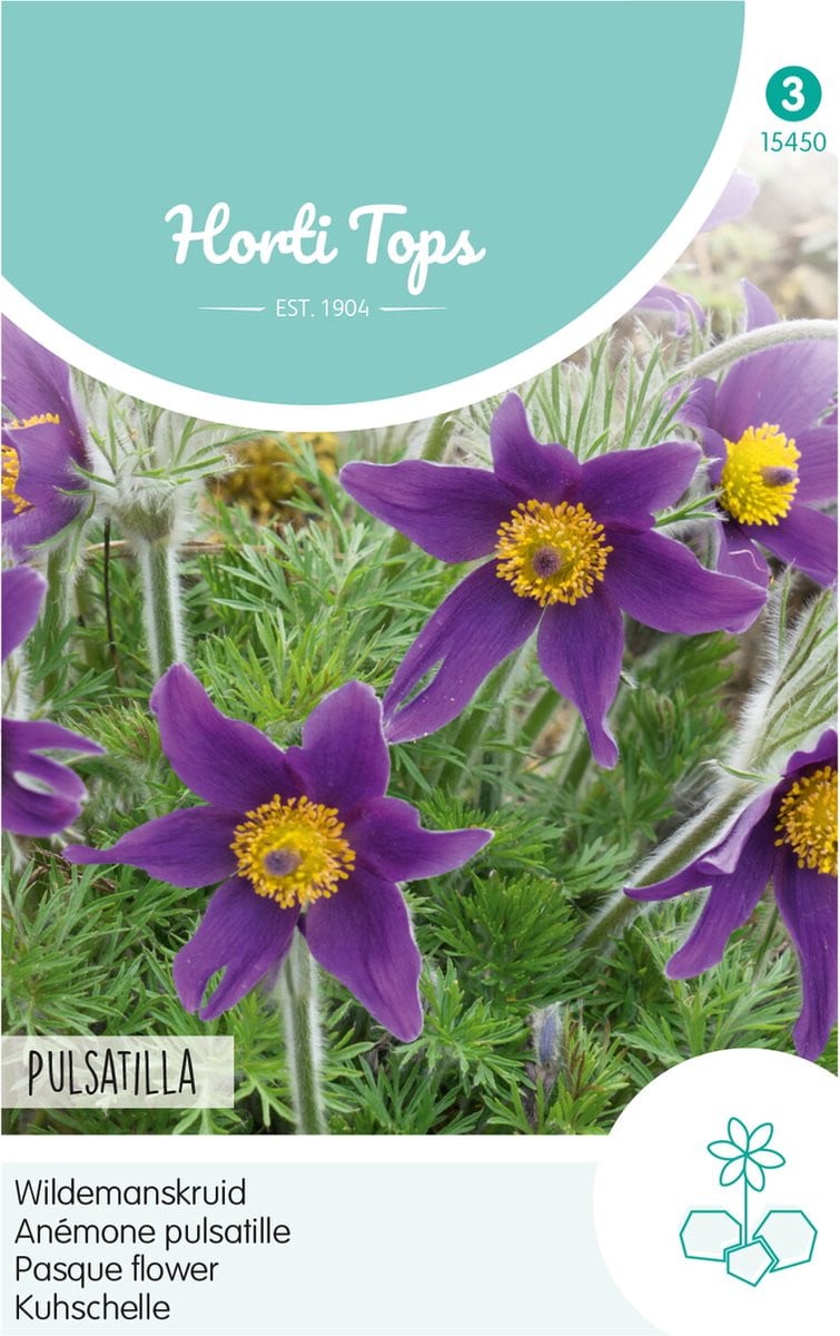 Hortitops Wildemanskruid Bloemzaad - Pulsatilla Vulgaris