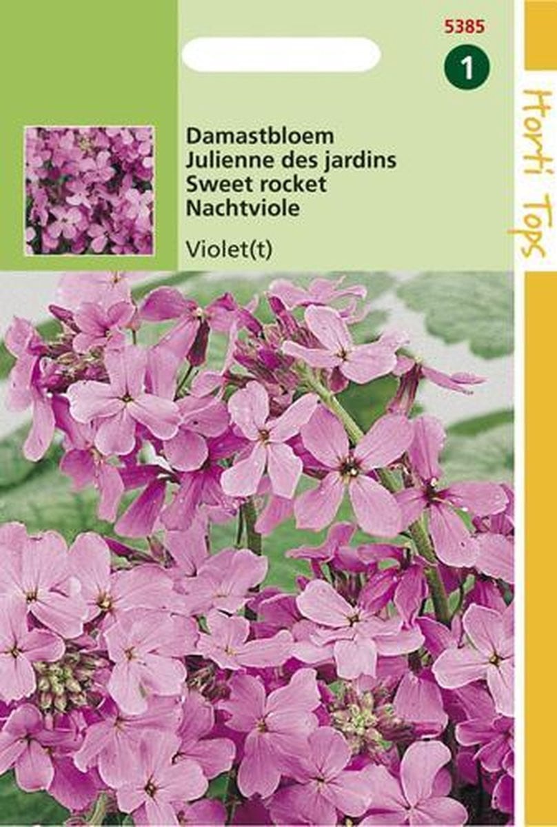 Hortitops Damastbloem Bloemzaad - Hesperis Matronalis - Violet