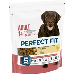 Perfect Fit Adult M/L mit Huhn 1x1.4 kg