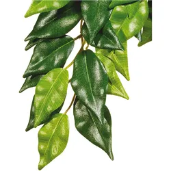 Exo Terra Jungle Plant Fikus M, Terrariumeinrichtung