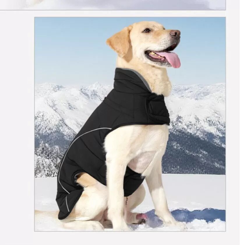 INF Manteau Chien Hiver Chaud: Veste Isolée et Imperméable avec Bandes Réfléchissantes L Le noir