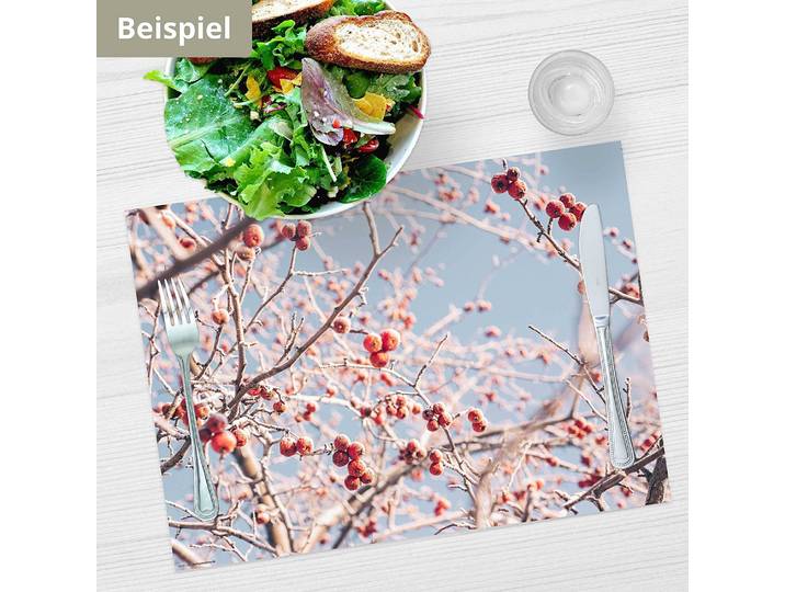Tischset Vogelbeeren I 12er-Set 44 x 32cm Multicolor