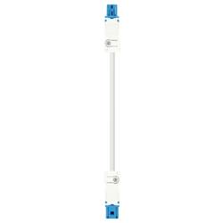Wieland Electric 91.222.3000.6 Verbindungsleitung Weiß 3 m