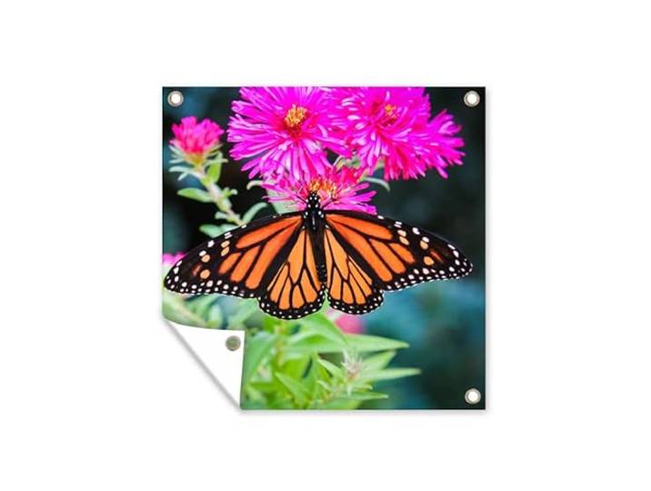 Tuinposter - 200x200 cm - Vlinder - Botanisch - Bloemen
