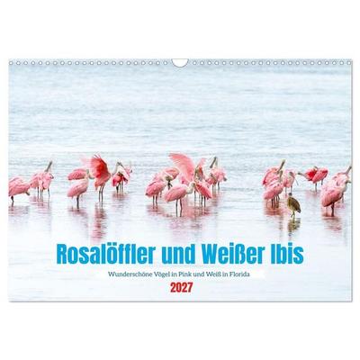 Rosalöffler und weißer Ibis (Wandkalender 2027 DIN A3 quer), CALVENDO Monatskalender