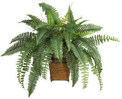 The Curated Nomad Zaius Silk Boston Fern with Wood Wicker Basket - Green