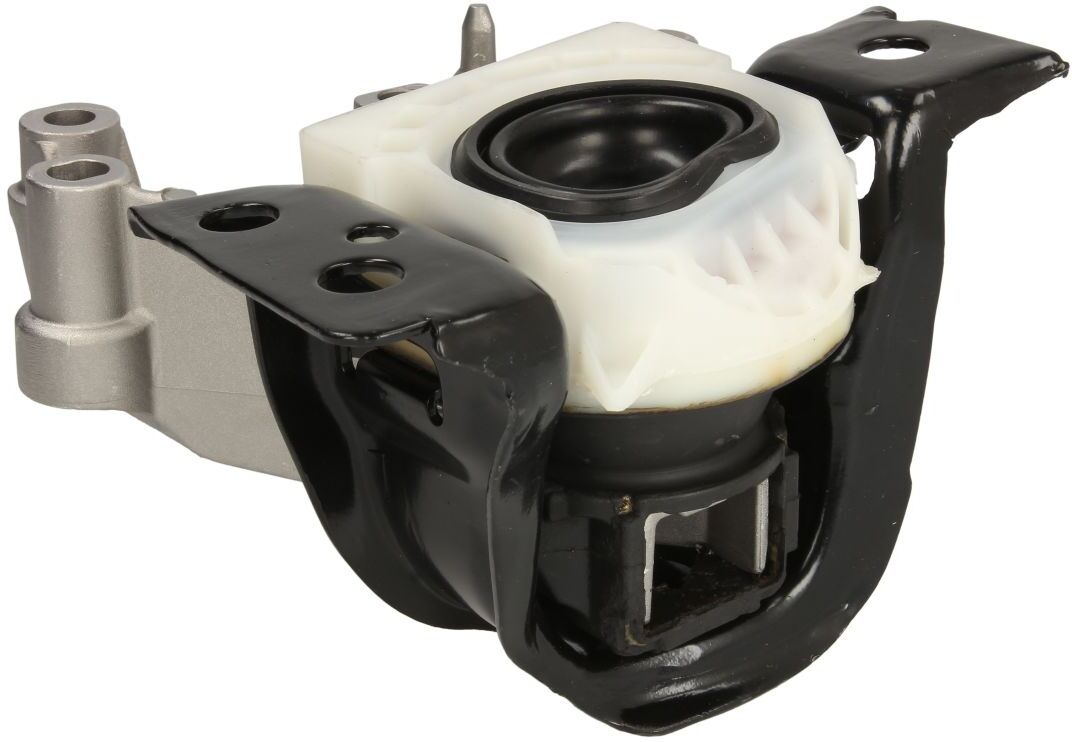 Reinhoch Supporto motore RH11-2180