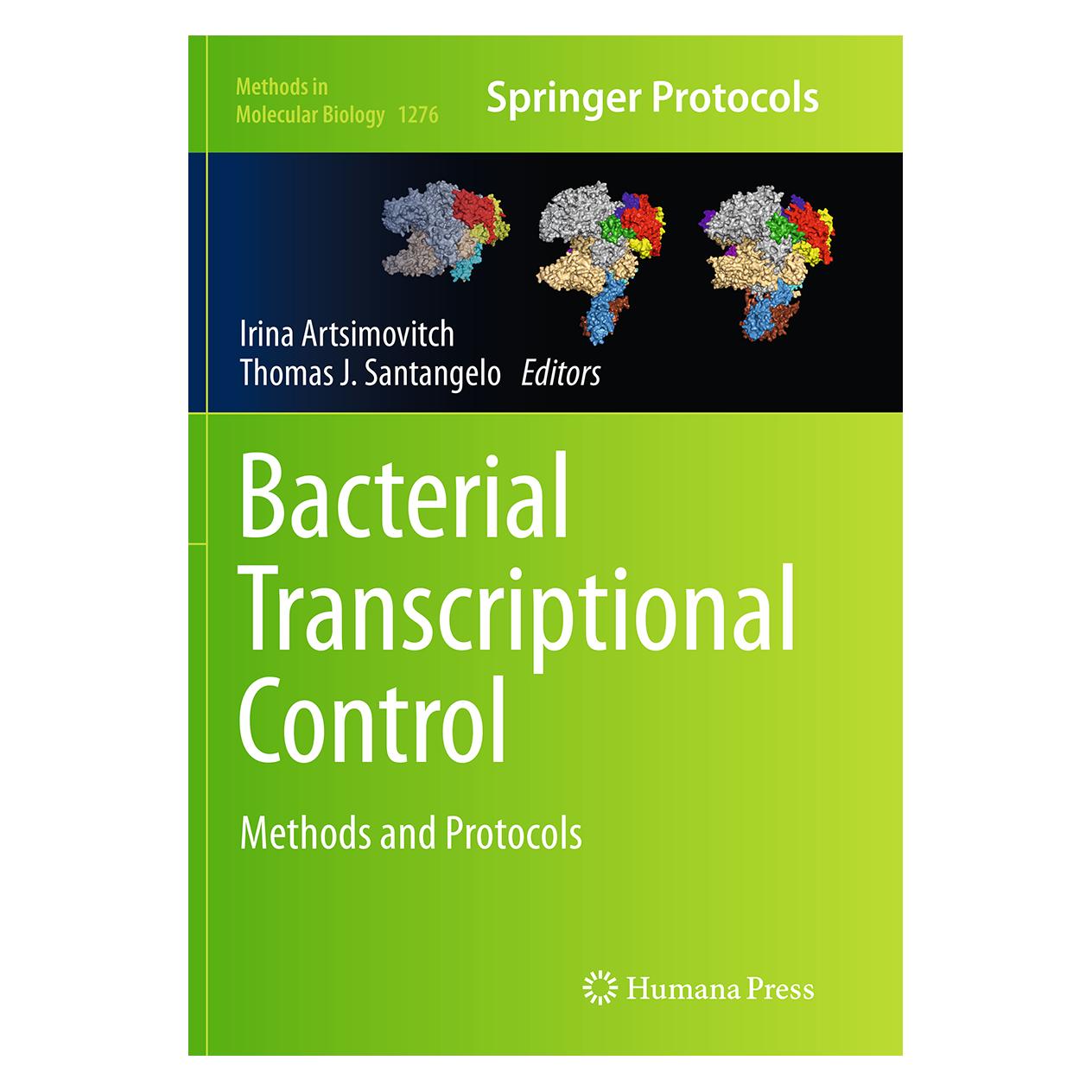 Springer Bacterial Transcriptional Control (Englisch, Softcover, Irina Artsimovitch, Thomas J. Santangelo) (55856410)