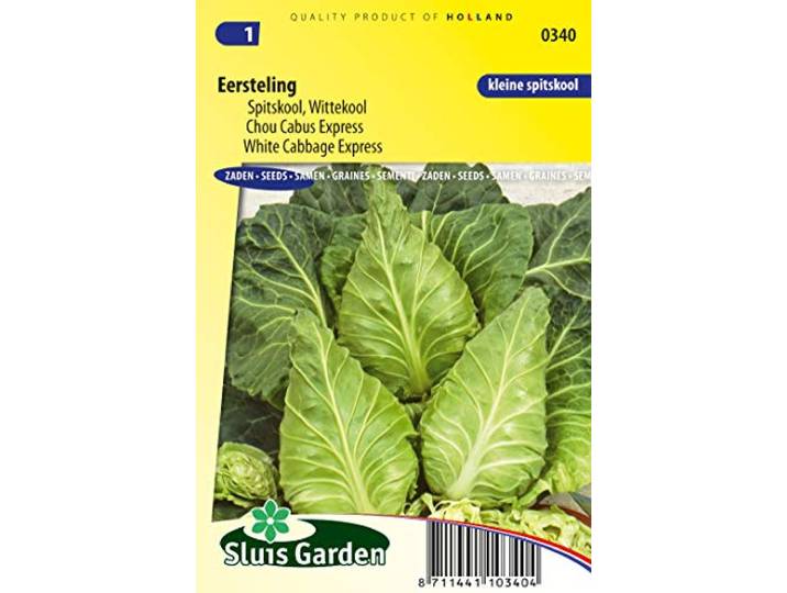 White Cabbage Express Groentezaden per gram - Produceert kleine, puntige kool - 0,6 g - Zaden per gram: +/-180
