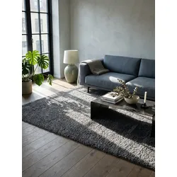 Teppich Hochflor RHEIN in Grau, einfarbig, 100 x 200 cm