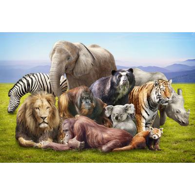 Fototapete PAPERMOON "Tiere", bunt, B:5m L:2,8m, Vlies, Tapeten