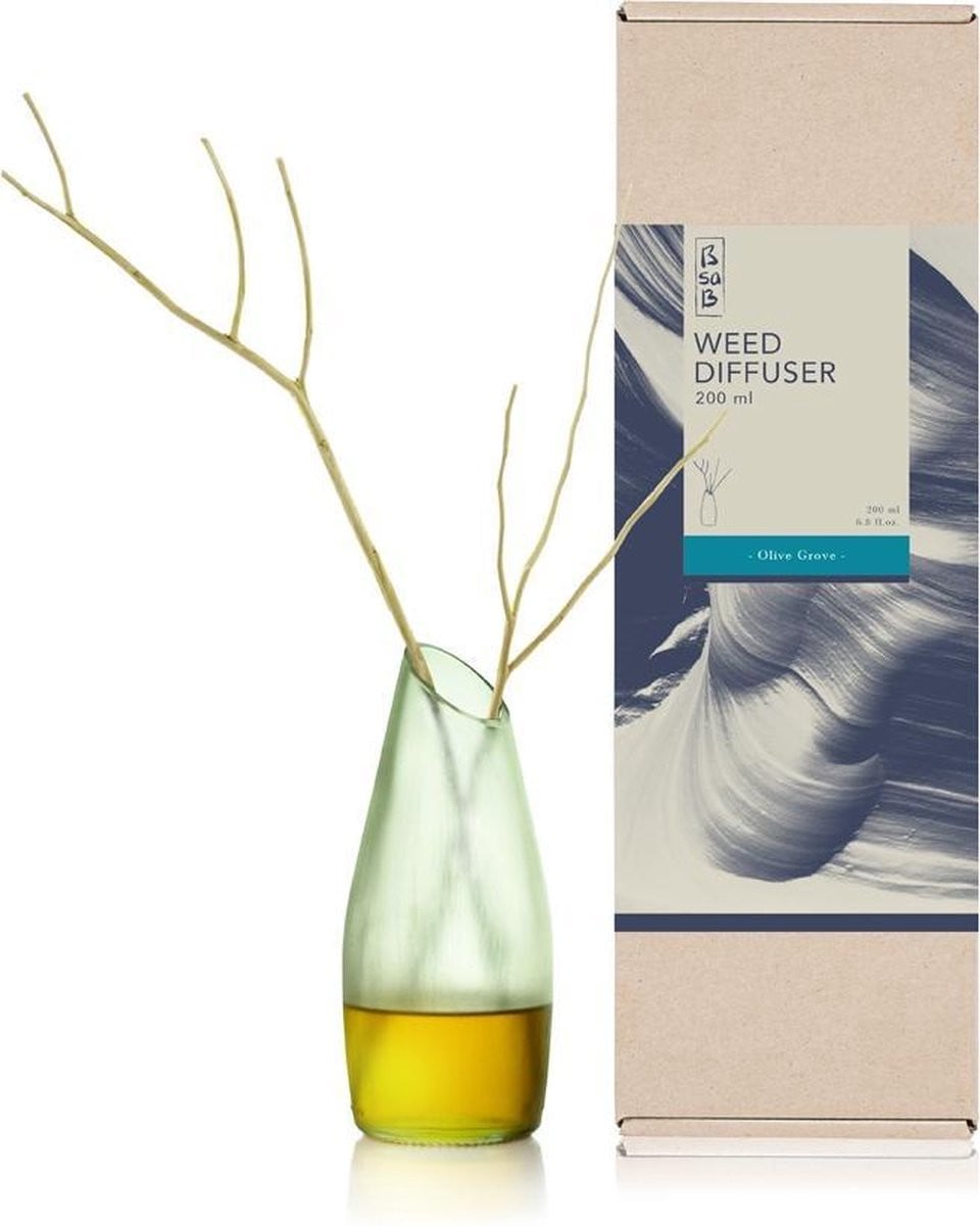 BsaB Diffuser FT 508843 Olijf 200ml