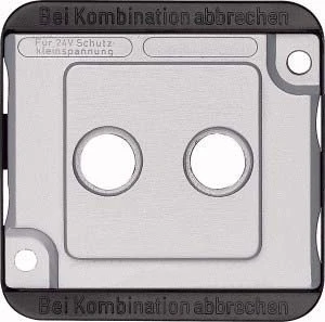 Zentralplatte für Antennensteckdosen, matt, PANZER silber (matt)