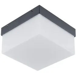 EVN Lichttechnik LED-Wandanbauleuchte WAQ54091502