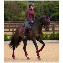 Premier Equine, Pferdebeinschutz, (S)