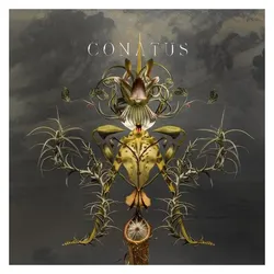 DGG, Schallplatten, Conatus-JOEP BEVING (Joep Beving)