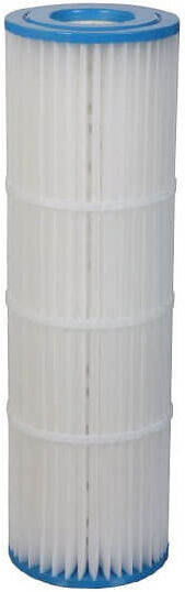 Cartouche Pentair Clean & Clear 200 (H-RAF173217)