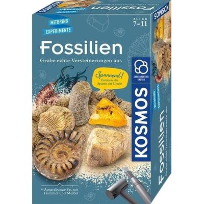 Fossilien