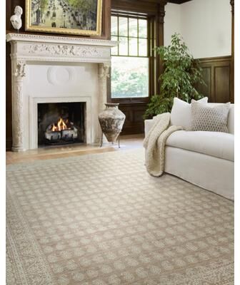 Nabela Noor Home x Livabliss Alo Traditional Area Rug