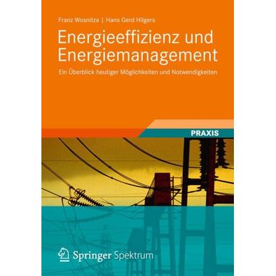 Energieeffizienz und Energiemanagement, Gebundene Ausgabe von Franz Wosnitza,Hans Gerd Hilgers, Vieweg & Teubner