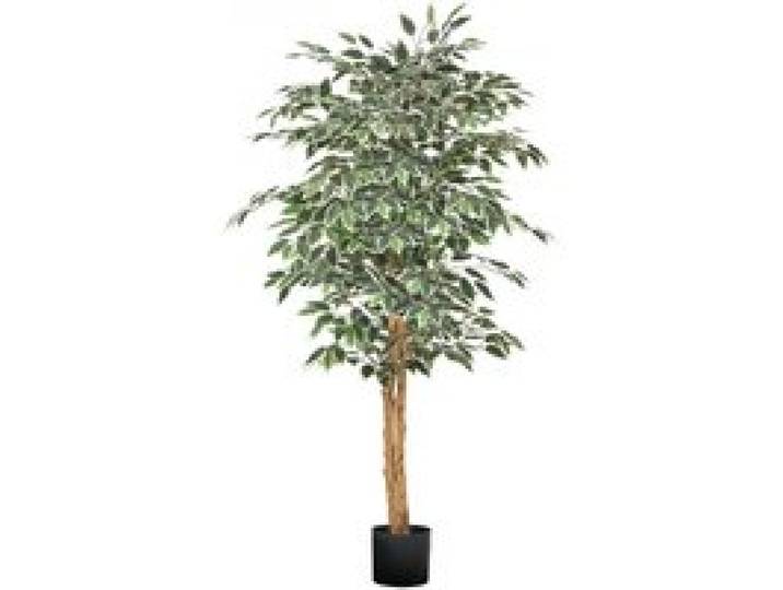 VEVOR Künstlicher Ficusbaum, 1524 mm, mit schwarzem Topf, Kunst-Ficuspflanze mit natürlichem Holzstamm & realistischen grünen Blättern, Seidenbaum für Innenbereich, für Zuhause, Büro, Wohnzimmer