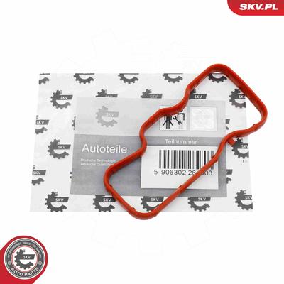 ESEN SKV Dichtung, Ansaugkrümmer 53SKV451 Eingang für Audi