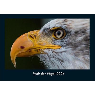 Welt der Vögel 2026 Fotokalender DIN A4