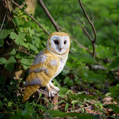 Hi-Line SoReal Yellow Barn Owl on branch