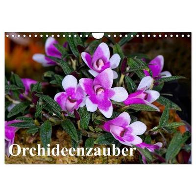 Orchideenzauber (Wandkalender 2027 DIN A4 quer), CALVENDO Monatskalender